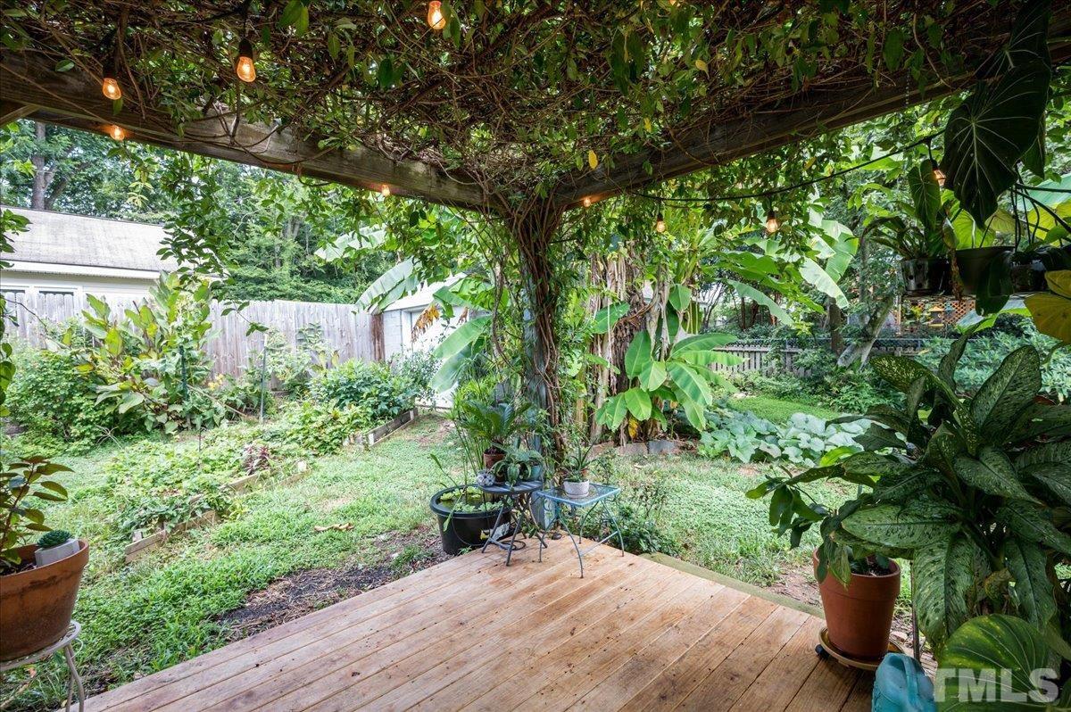 511 Frank Street Raleigh, NC 27604 - Photo 23 of 26 a view of a garden with plants and large trees