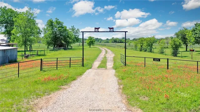 a view of a park with large trees