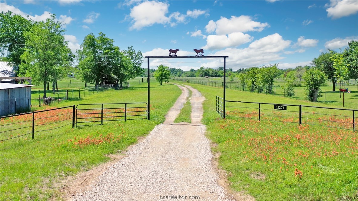 a view of a park with large trees