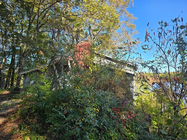 a view of a tree in middle of the green field