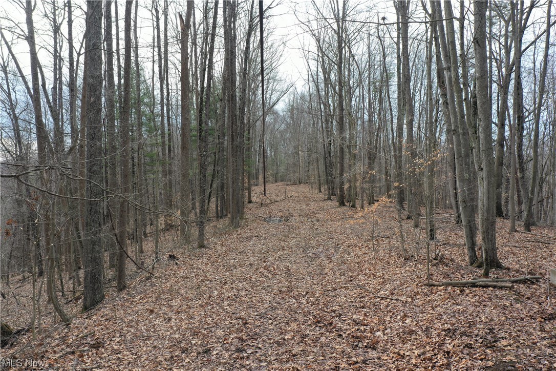 1 Norman Ridge Road Big Bend, WV 26136 - Photo 10 of 20 Gallery Image 10