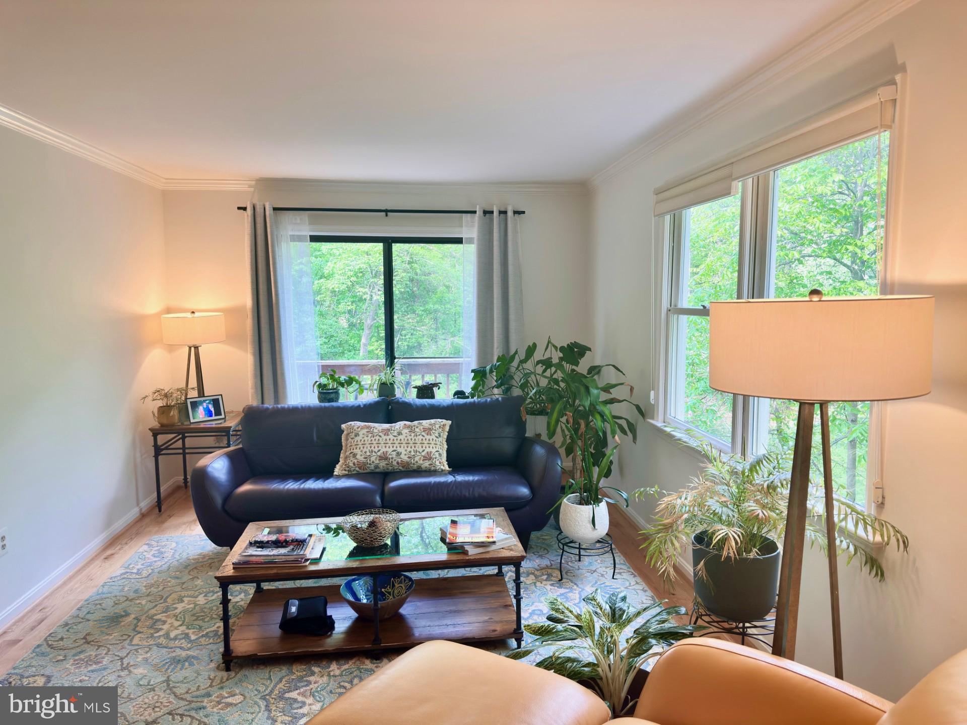 7929 Valleyfield Drive Springfield, VA 22153 - Photo 11 of 39 a living room with furniture and a window
