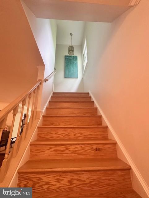 7929 Valleyfield Drive Springfield, VA 22153 - Photo 15 of 39