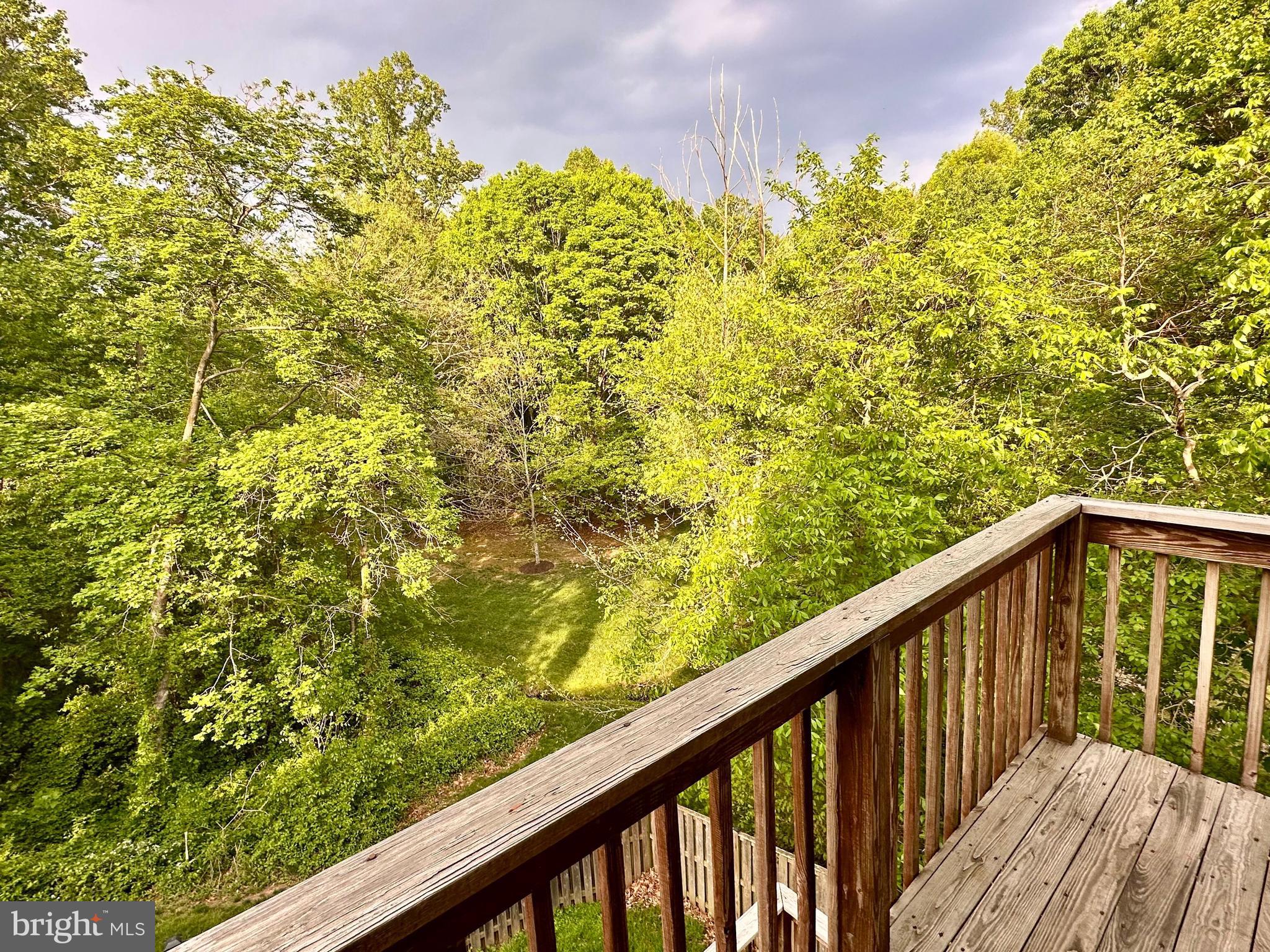7929 Valleyfield Drive Springfield, VA 22153 - Photo 24 of 39