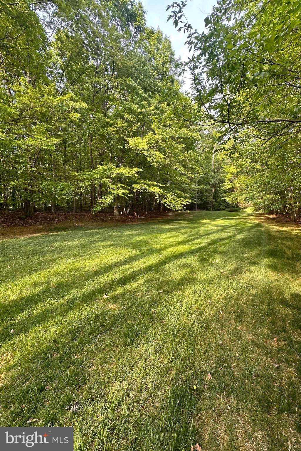 7929 Valleyfield Drive Springfield, VA 22153 - Photo 39 of 39 a view of a green yard