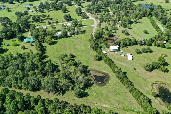 a view of a garden with a tree