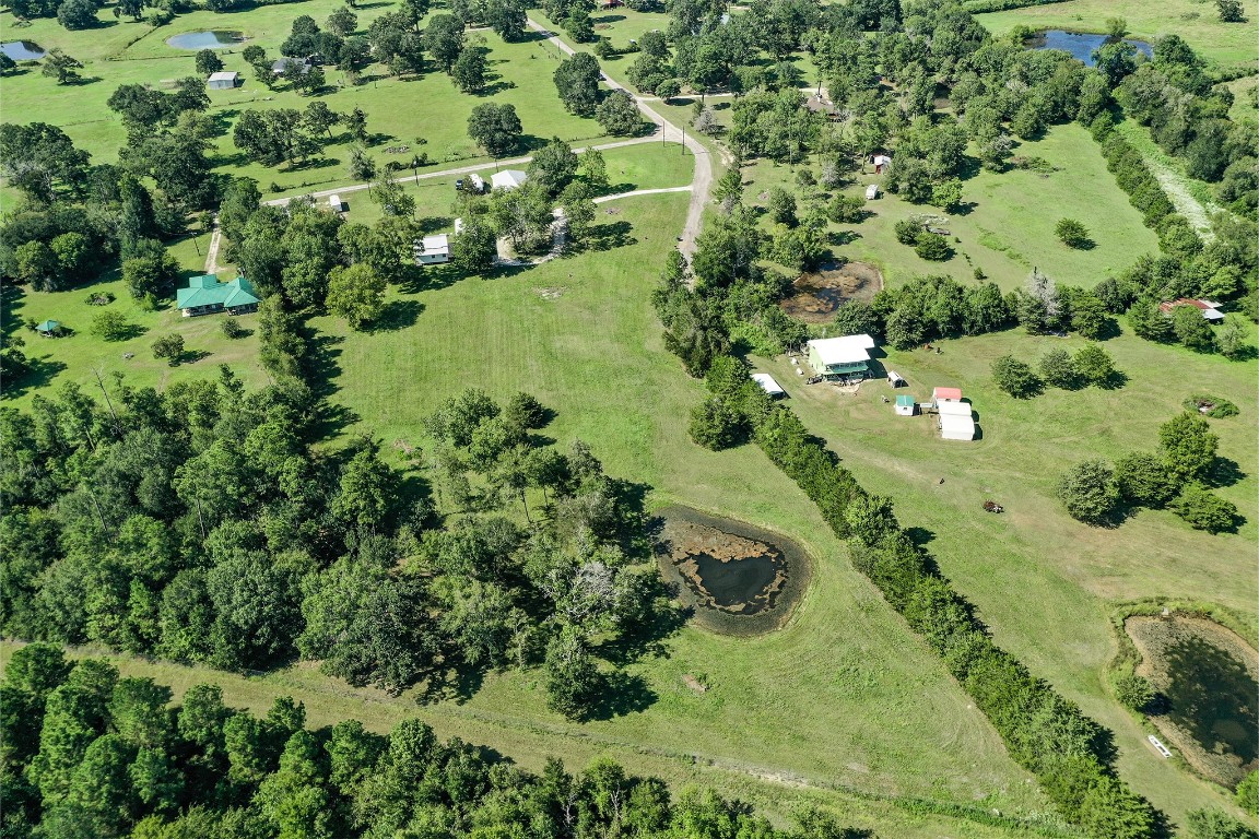 34 Harding Road Huntsville, TX 77340 - Photo 25 of 28 a view of a garden with a tree