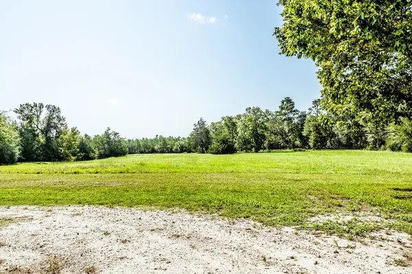 a view of a field with an trees