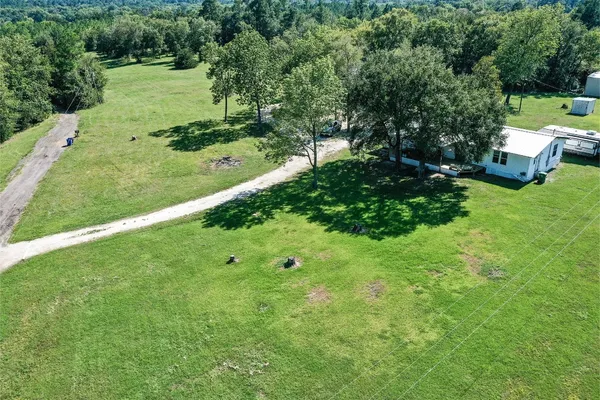 a view of a garden with plants