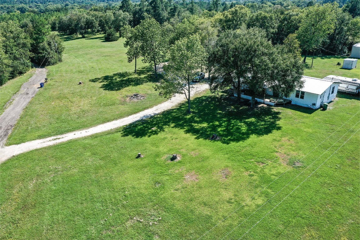 34 Harding Road Huntsville, TX 77340 - Photo 5 of 28 a view of a garden with plants