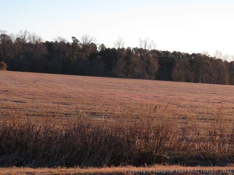 Raynham Road Fairmont, NC 28340 - Photo 3 of 9
