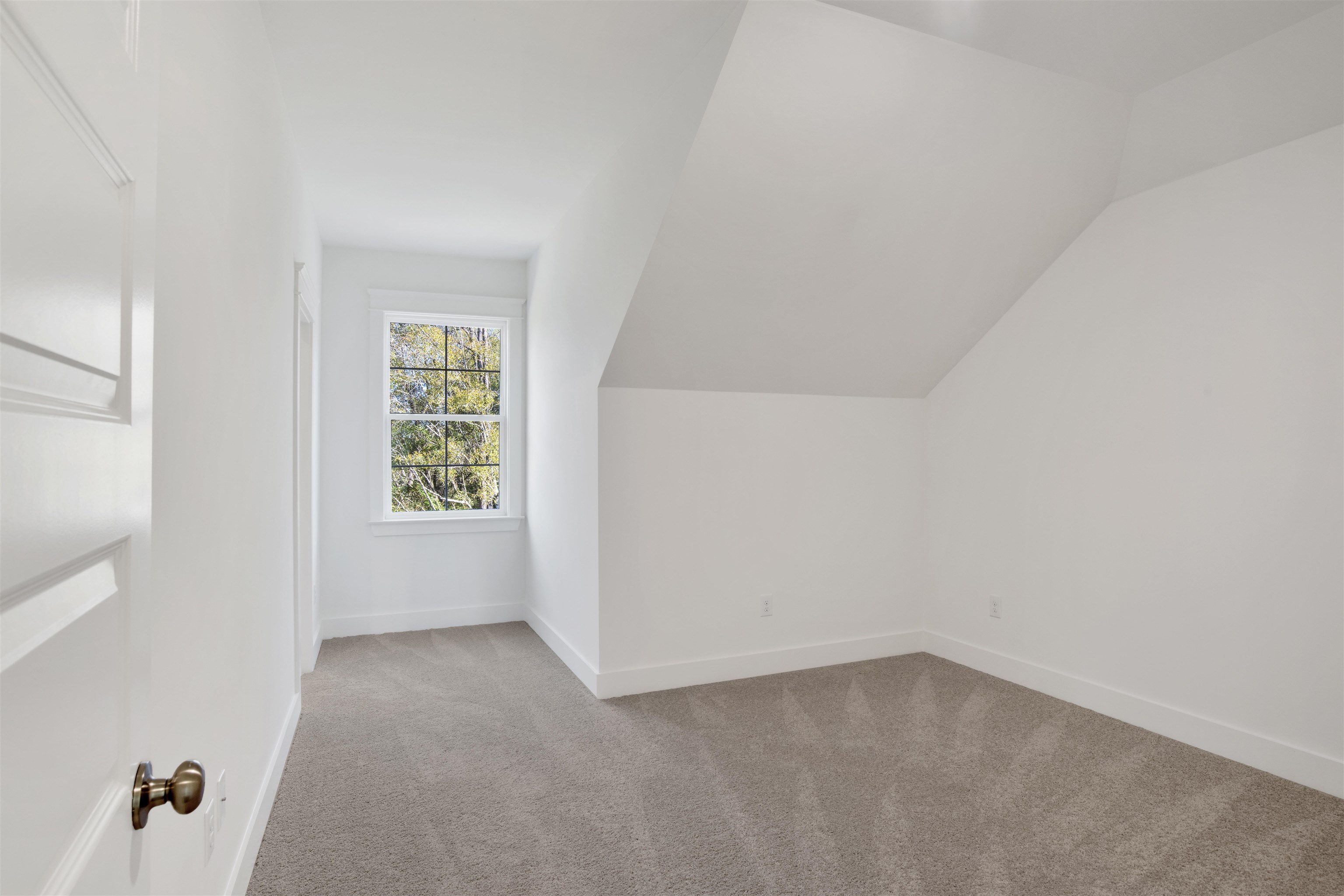8615 Daintree Court Daphne, AL 36526 - Photo 33 of 41 Bonus Room