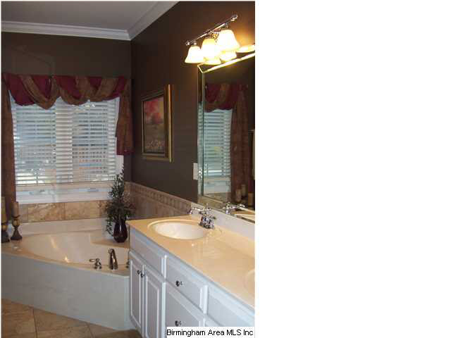 223 Greystone Drive Oneonta, AL 35121 - Photo 11 of 28