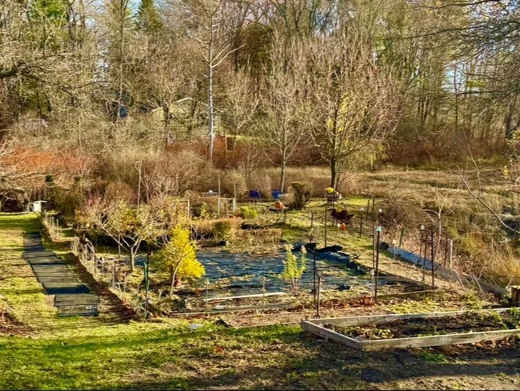 85 College Road Stratham, NH 03885 - Photo 55 of 59