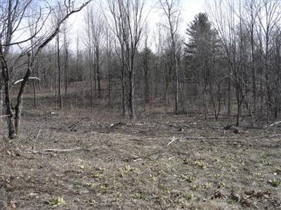 10675 Highway 10 Reed City, MI 49677 - Photo 2 of 7 Additional Photo
