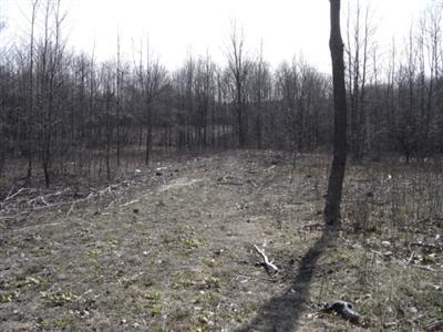 10675 Highway 10 Reed City, MI 49677 - Photo 3 of 7 Additional Photo