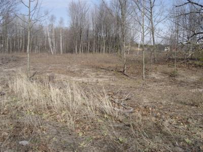 10675 Highway 10 Reed City, MI 49677 - Photo 4 of 7 Additional Photo
