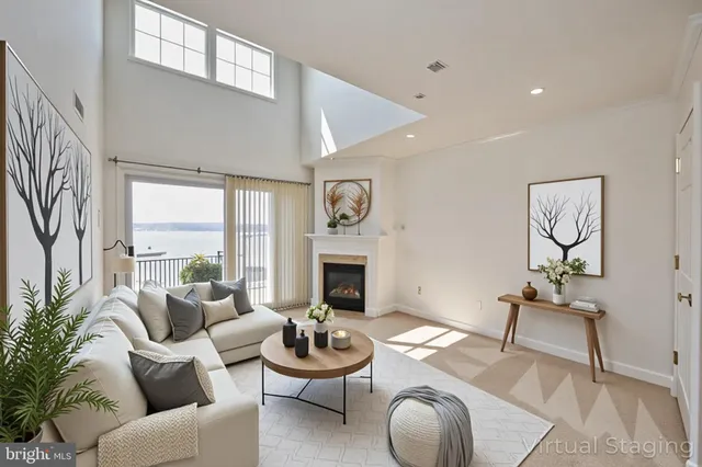 a living room with furniture potted plant and a fireplace