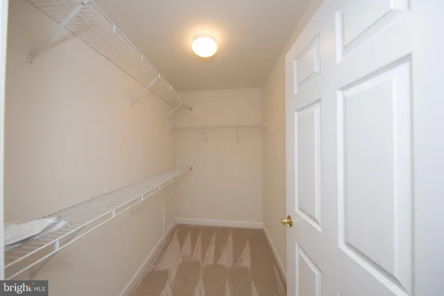 a view of a lake with boats and palm trees