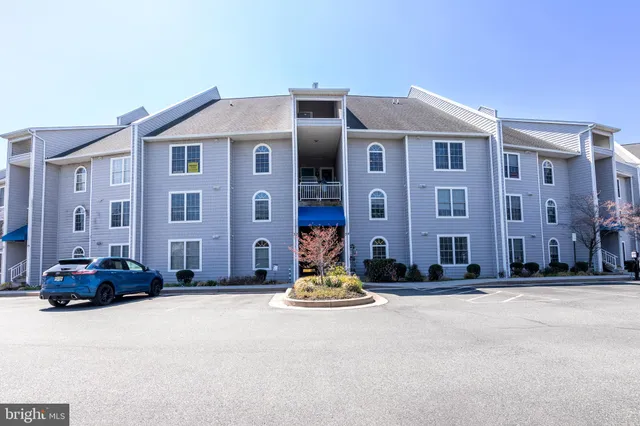 a living room with furniture potted plant and a fireplace