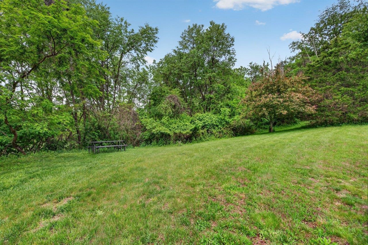 16229 North Mountain Road Broadway, VA 22815 - Photo 38 of 41