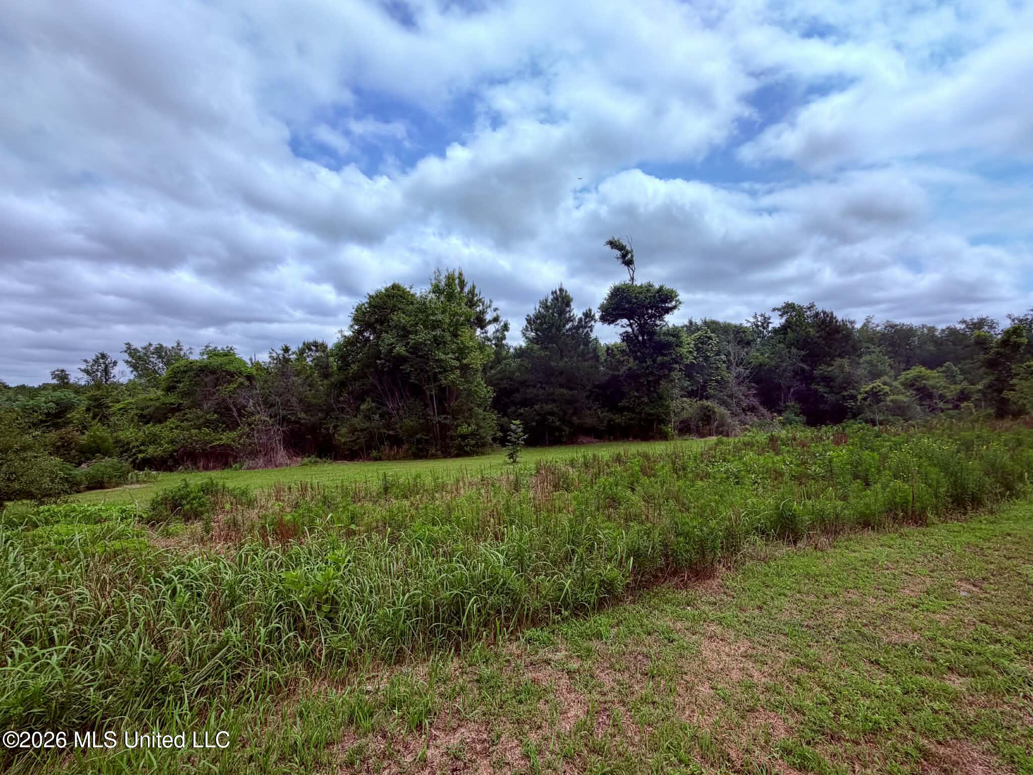 1882 McInnis Vernal Road Lucedale, MS 39452 - Photo 12 of 20 efeb25ae-66f4-4633-bb96-d2724b1bb73e