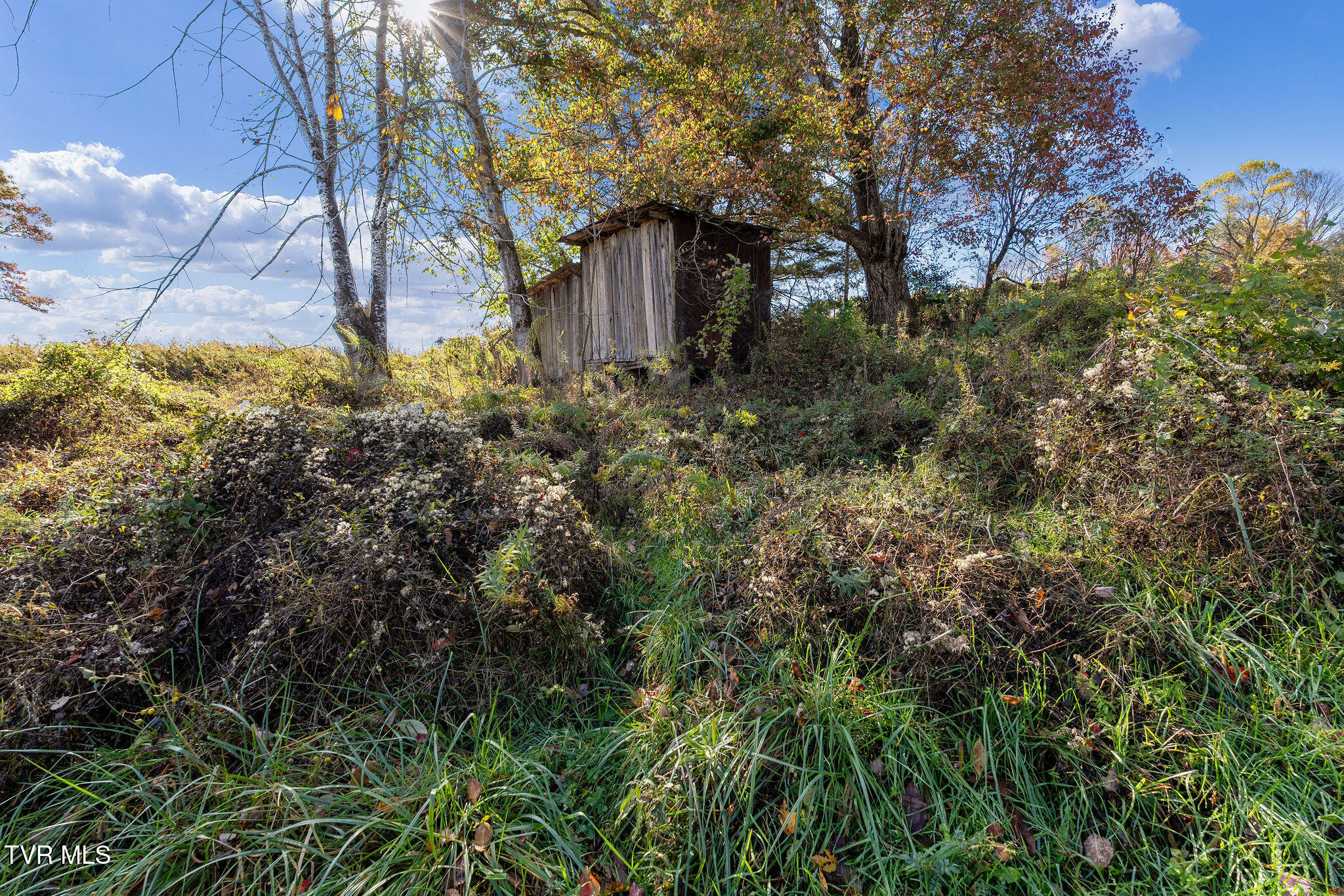 1802 Winchester Road Shady Valley, TN 37688 - Photo 34 of 40 DSC04891