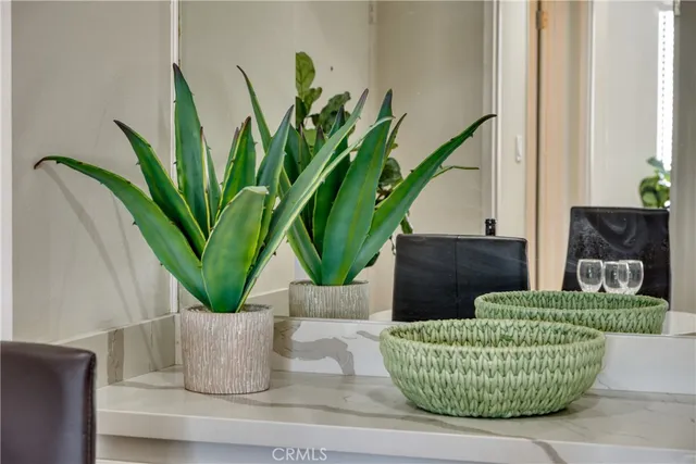 a potted plant sitting on a floor