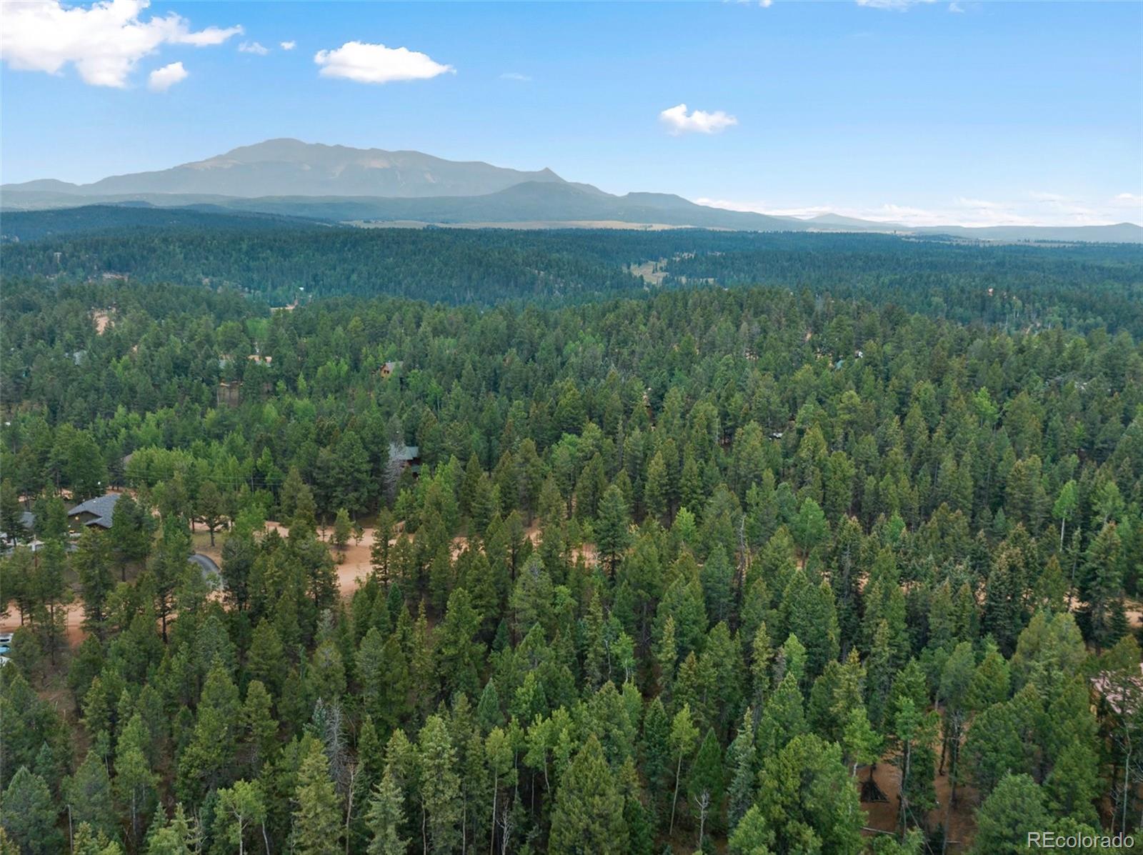 810 Ridge Road Divide, CO 80814 - Photo 18 of 27