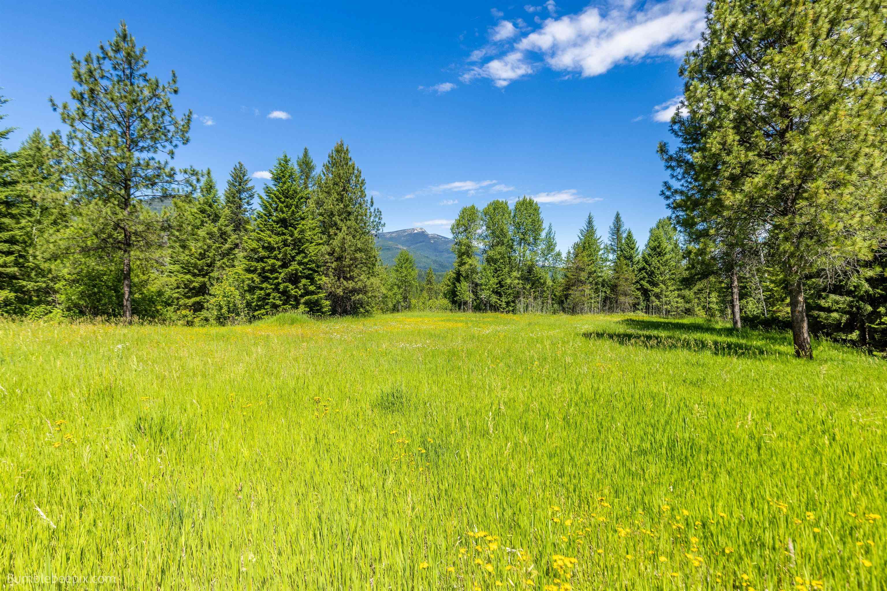 17151 Sullivan Lake Road Metaline Falls, WA 99153 - Photo 23 of 31 Gallery Image 23