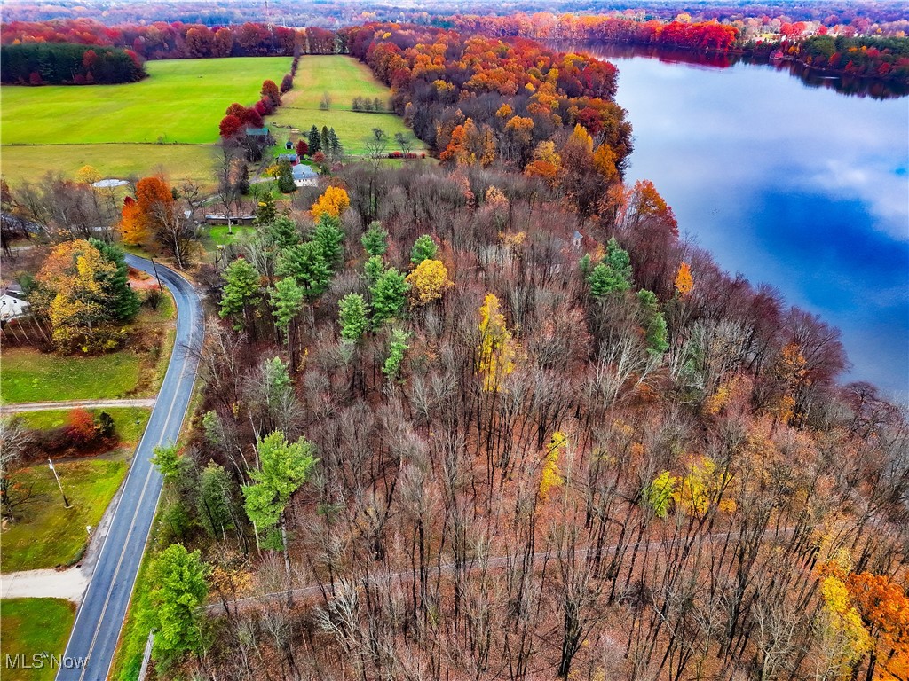 Rootstown Road Ravenna, OH 44266 - Photo 2 of 26 Bird's eye view of a forest