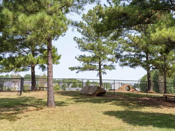 a view of a yard with an trees