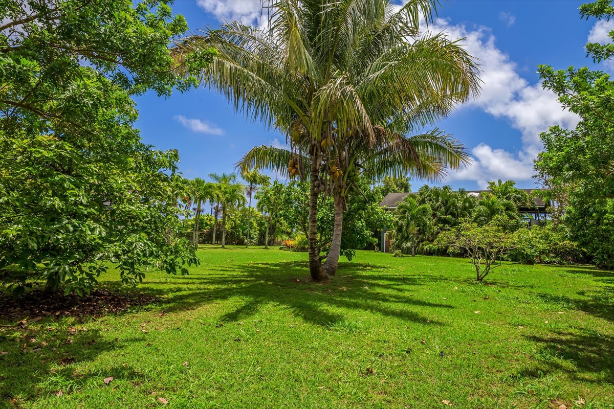 5591 Kaapuni Road, Unit B Kapaa, HI 96746 - Photo 9 of 30 Gallery Image 9