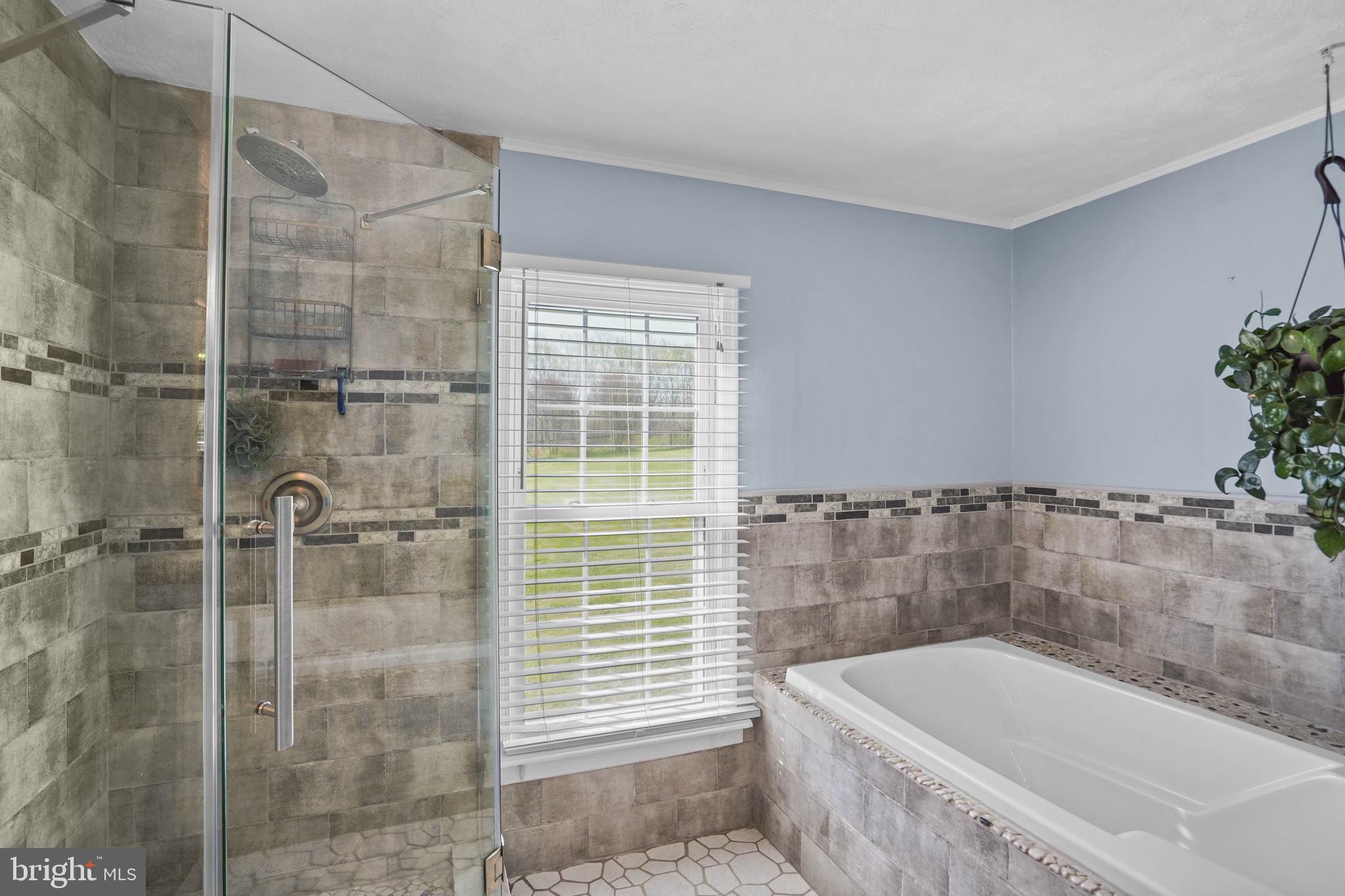 15775 Mt Calvert Road Upper Marlboro, MD 20772 - Photo 23 of 58 Master shower & tub