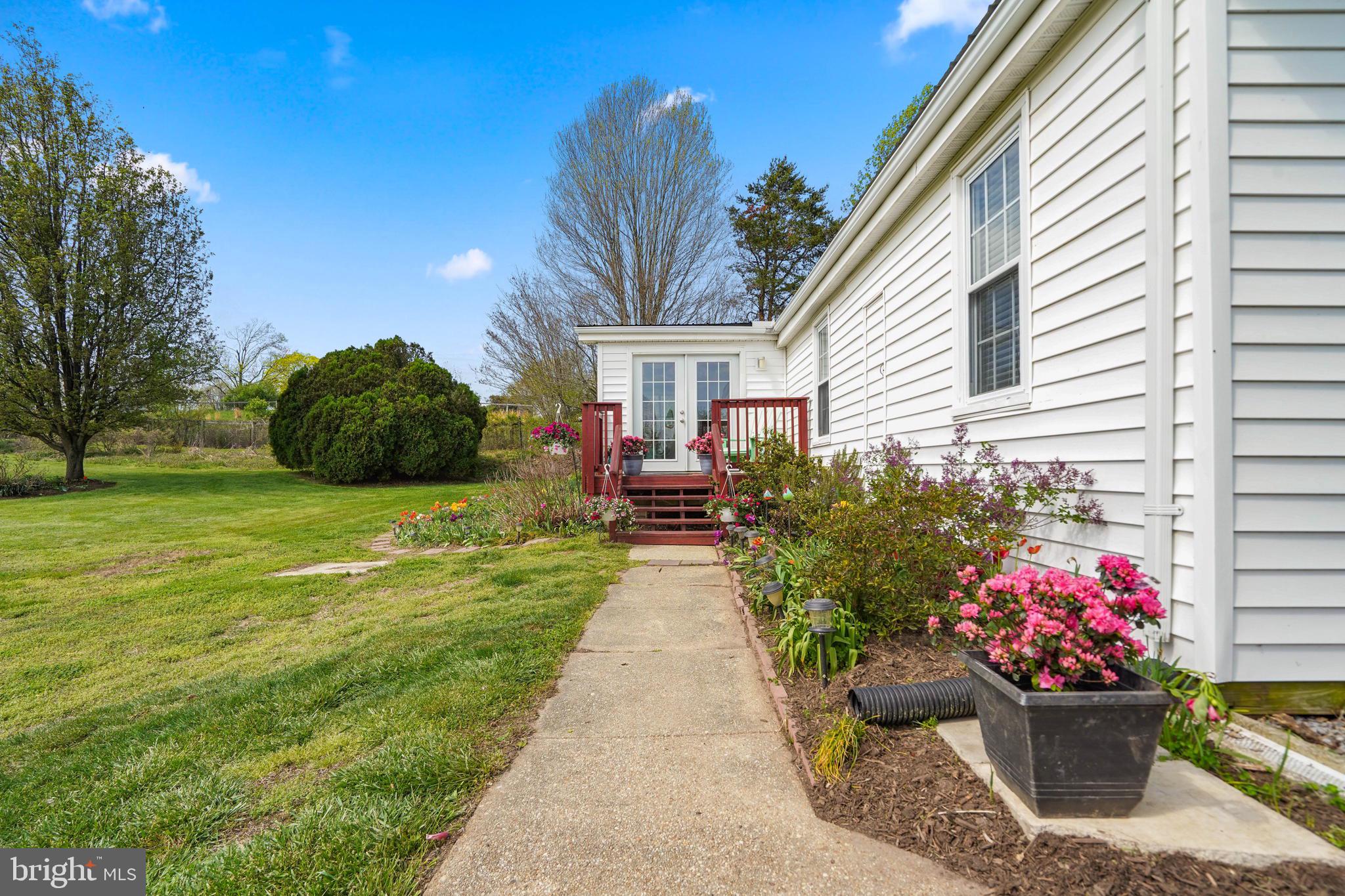 15775 Mt Calvert Road Upper Marlboro, MD 20772 - Photo 5 of 58 Established flower beds, berry patches and more