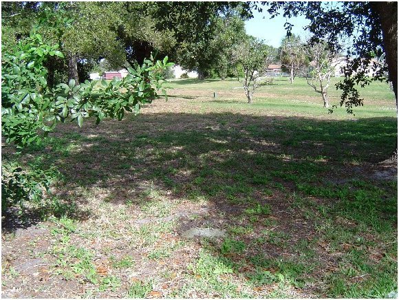 1544 Creel Road Northeast Palm Bay, FL 32905 - Photo 3 of 12 Additional Photo