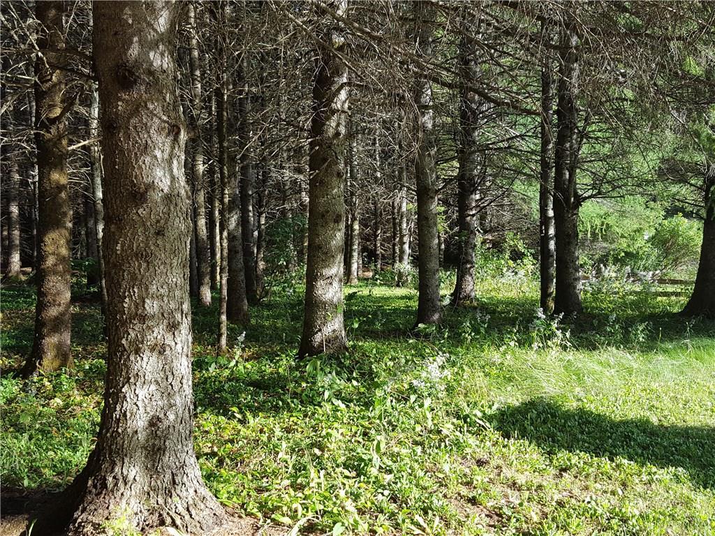 36 Baird Road Caribou, ME 04736 - Photo 23 of 25 Photo