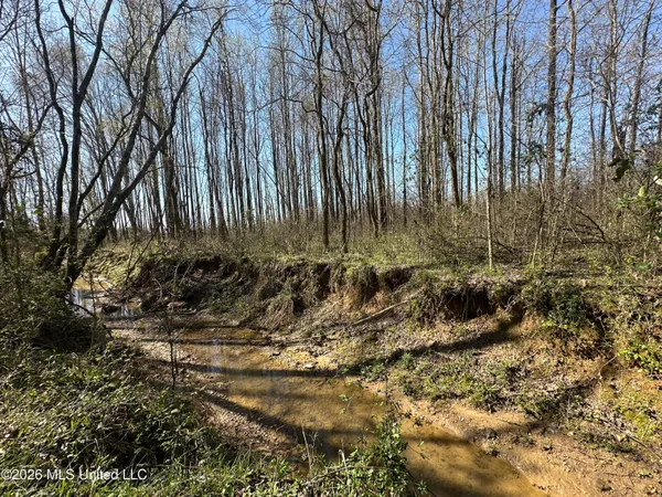 $34,500 | 0 Wildwood Road, Benton, MS 39039