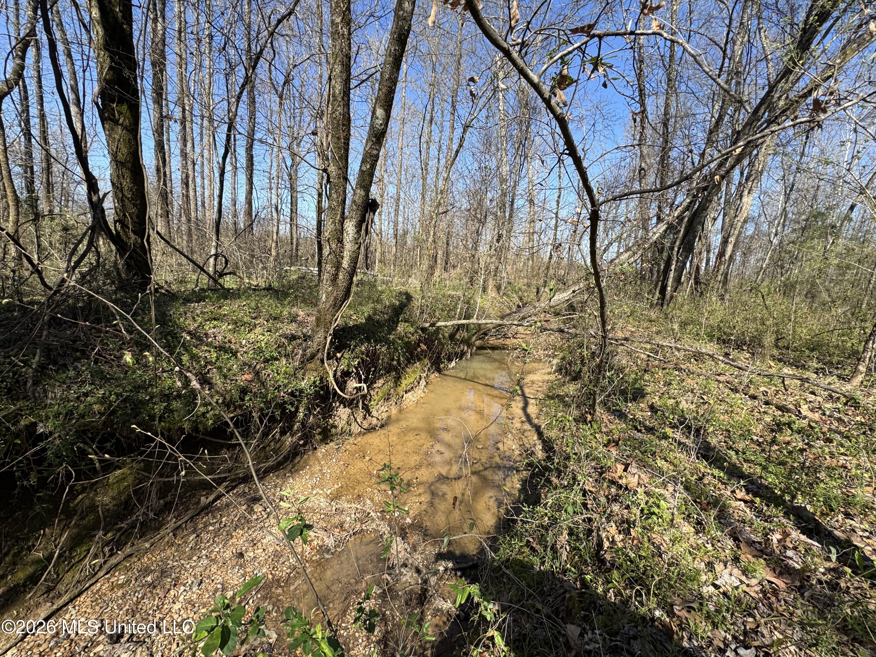 0 Wildwood Road Benton, MS 39039 - Photo 2 of 18 IMG_9255
