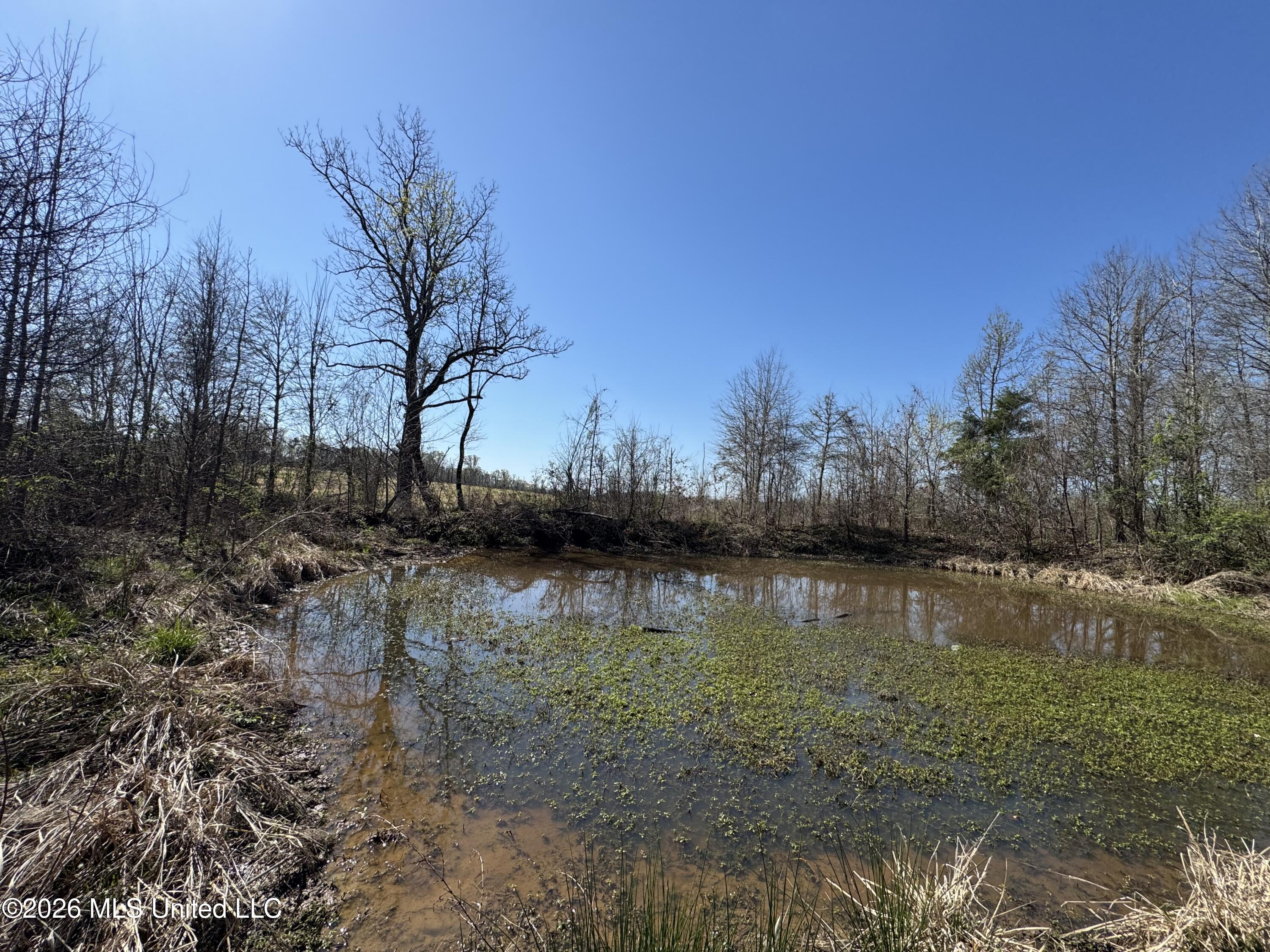 0 Wildwood Road Benton, MS 39039 - Photo 10 of 18 IMG_9286