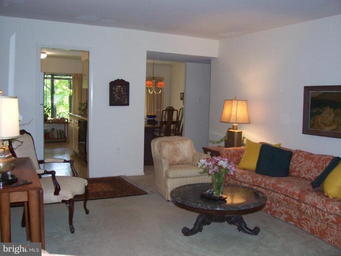 5248 West Running Brook Road, Unit 301 Columbia, MD 21044 - Photo 15 of 24 LIVING ROOM