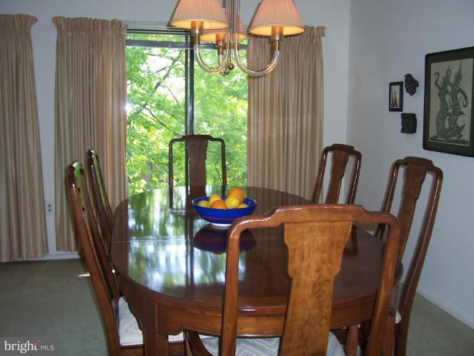5248 West Running Brook Road, Unit 301 Columbia, MD 21044 - Photo 17 of 24 LOVELY DINING AREA WITH GREAT LIGHT FROM WINDOWS