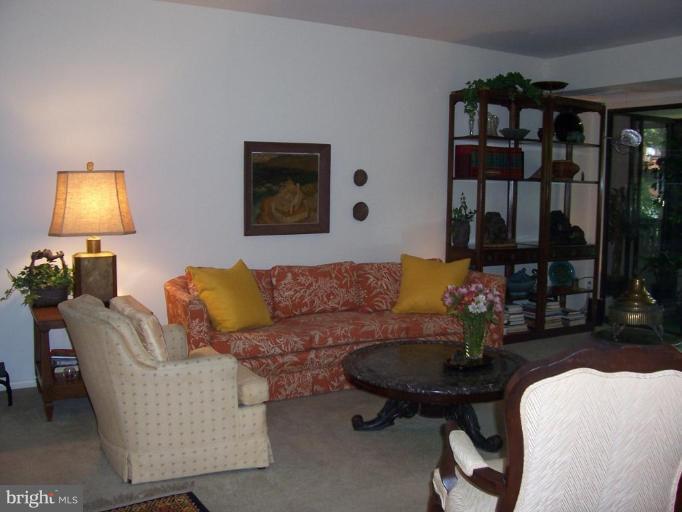 5248 West Running Brook Road, Unit 301 Columbia, MD 21044 - Photo 5 of 24 From the foyer you will see how the wonderful LR