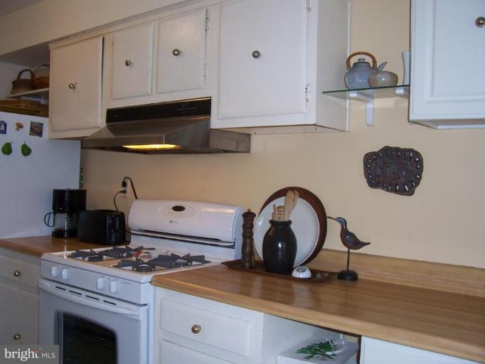 5248 West Running Brook Road, Unit 301 Columbia, MD 21044 - Photo 8 of 24 LOVE TO ENTERTAIN! GALLEY KITCHENS ARE THE IN