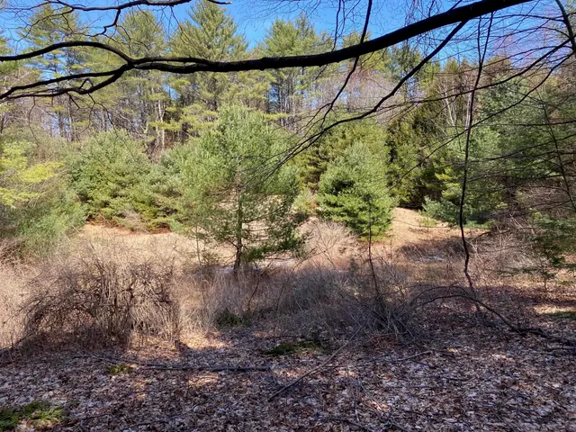 $549,000 | 1254 Highway 5, Weathersfield, VT 05156