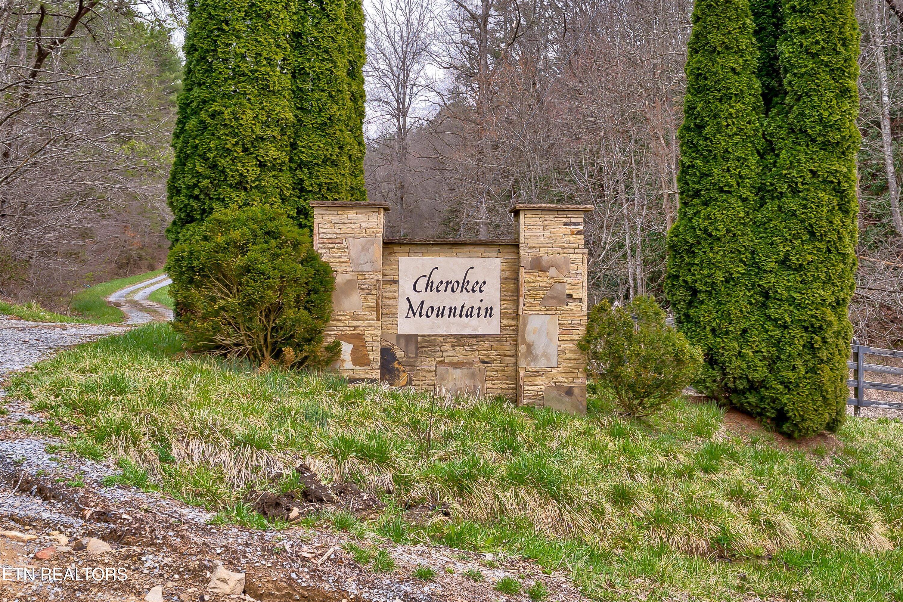 01-Black Maple Way Lot 41-1