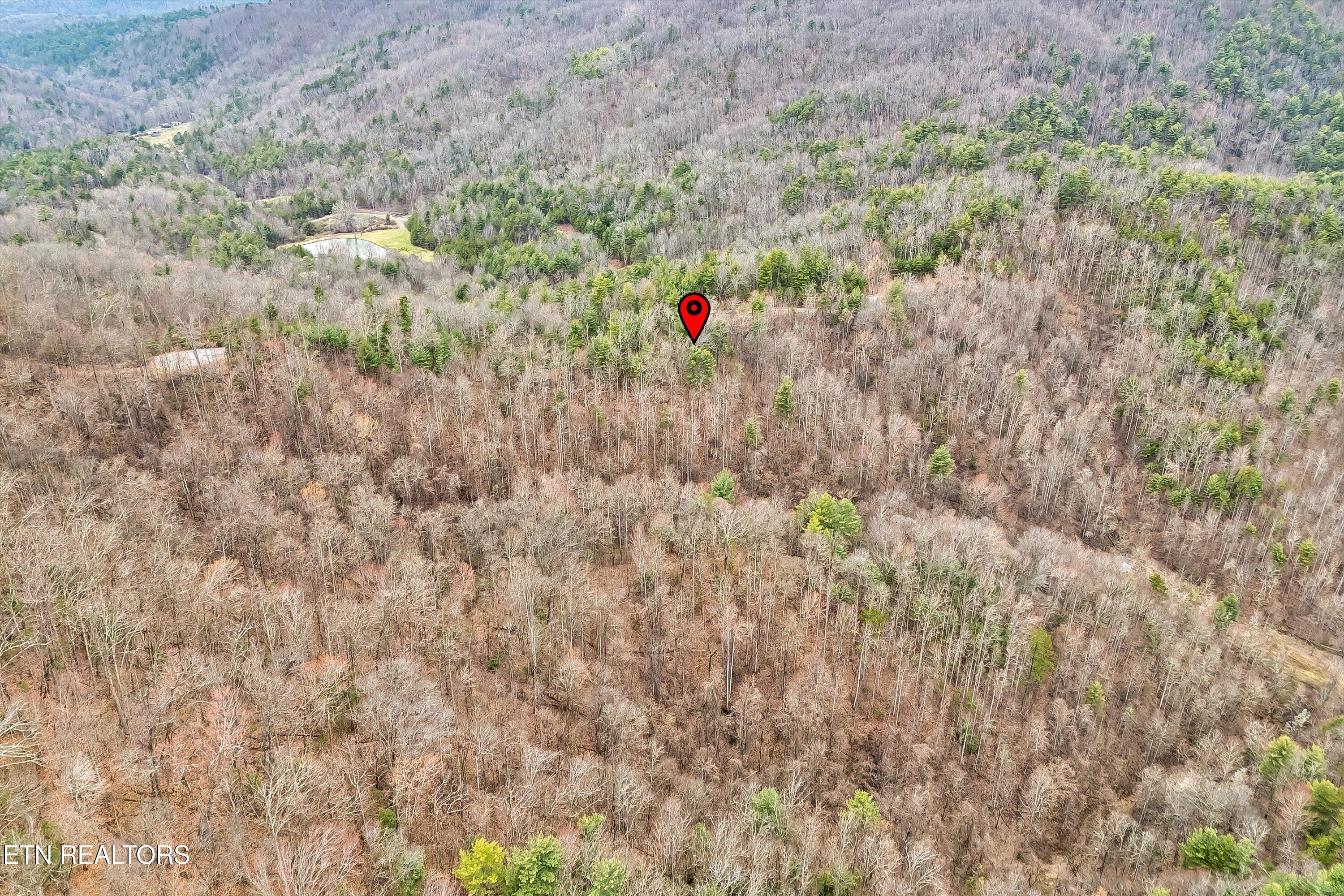 Lot 41 Black Maple Way Del Rio, TN 37727 - Photo 11 of 34 13-Black Maple Way Lot 41-13