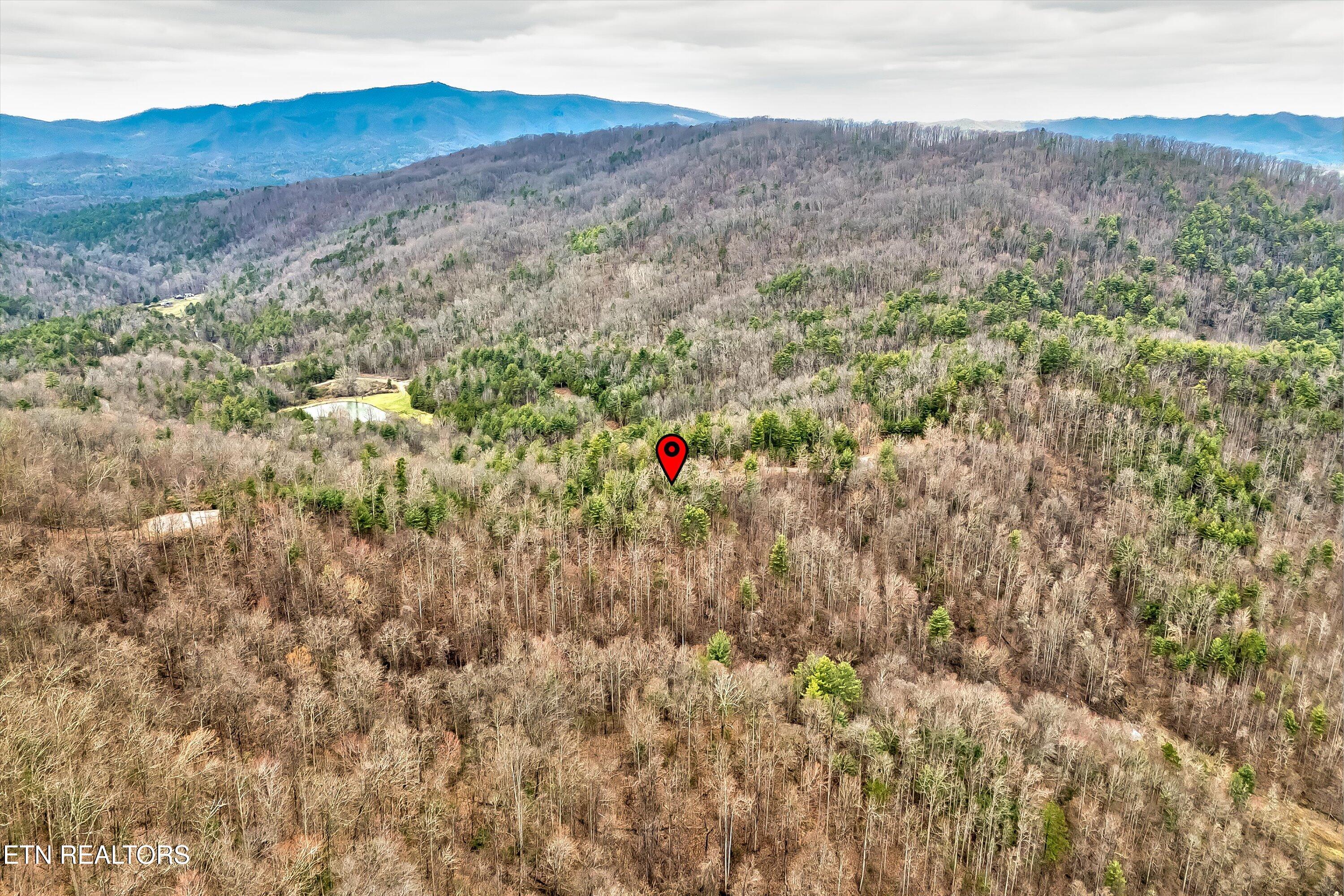 Lot 41 Black Maple Way Del Rio, TN 37727 - Photo 12 of 34 15-Black Maple Way Lot 41-15
