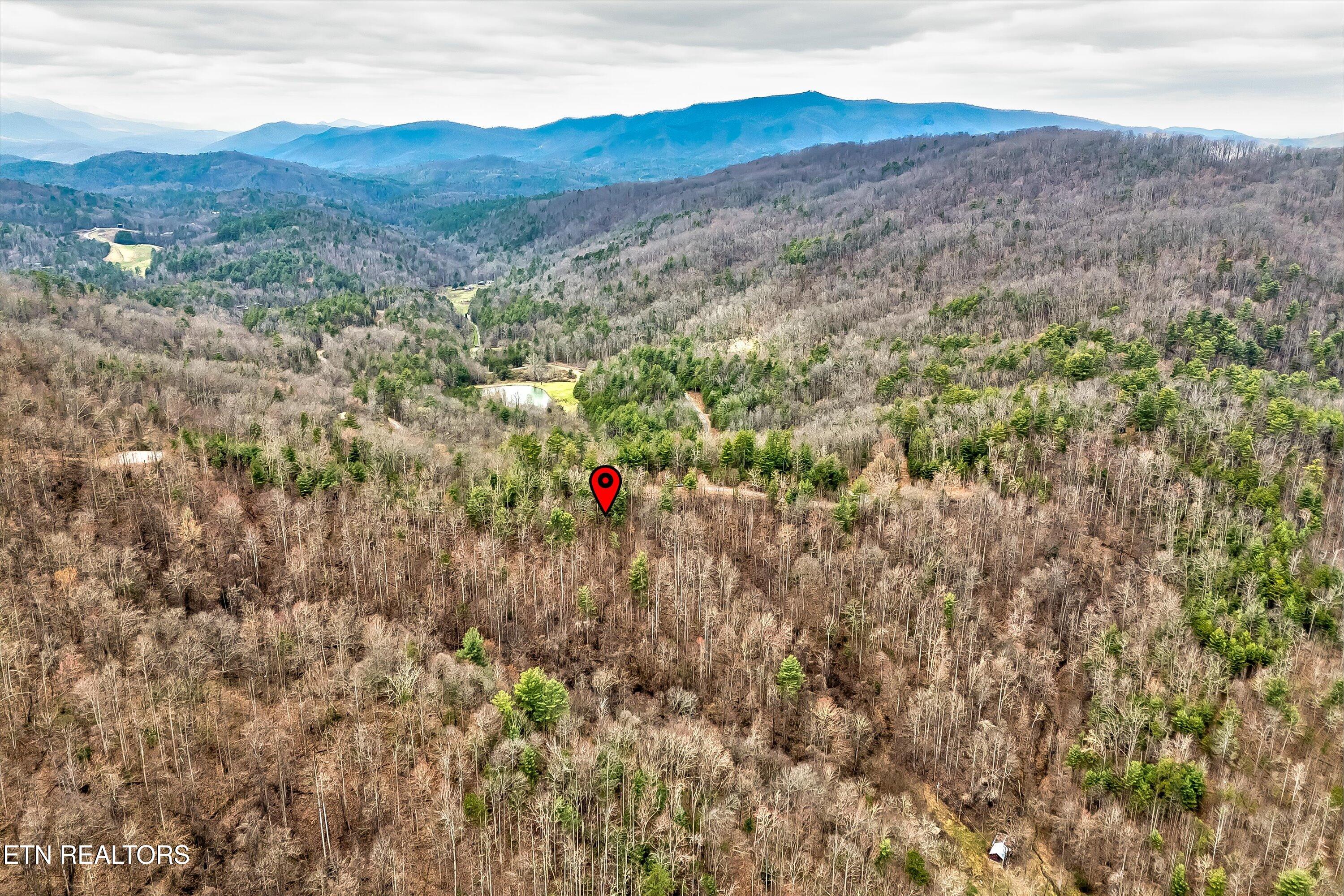 Lot 41 Black Maple Way Del Rio, TN 37727 - Photo 13 of 34 17-Black Maple Way Lot 41-17