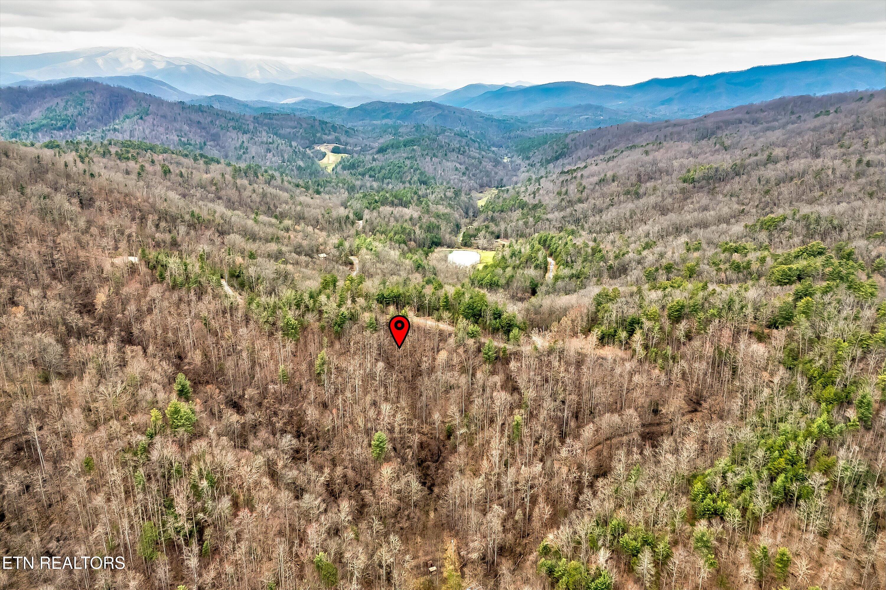 Lot 41 Black Maple Way Del Rio, TN 37727 - Photo 14 of 34 19-Black Maple Way Lot 41-19
